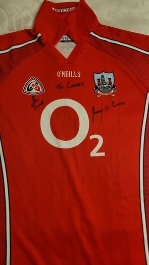Cork Hurling Jersey