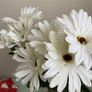 BNWT 2 Stems of artificial Gerbera Image 3