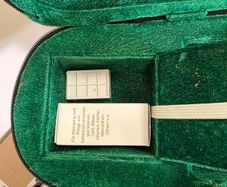 violin