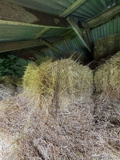 Square bales
