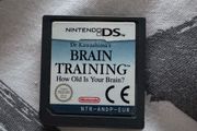 Brain Training DS