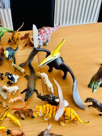Animals