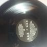 Vinyl.bonegnawers. Image 8