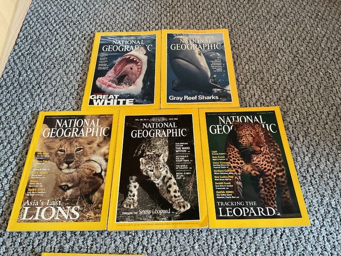 National Geographic Magazines + Books