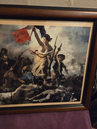 "Liberty Leading the People" Framed print