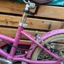 Pendleton Kids Bike Image 2
