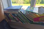 kids polish books