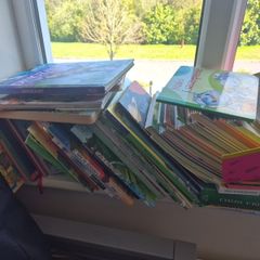 kids polish books