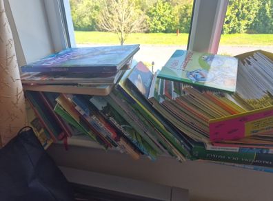 kids polish books