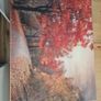 canvas Image 2