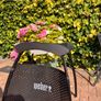 Weber Image 2