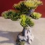 Bonsai Tree - Medium C Aquarium decoration Image 4