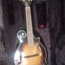 Mandolin Image 3