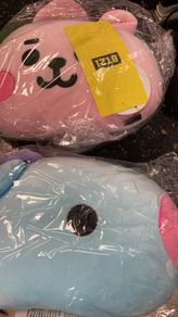 BT21 BTS Kpop Cooky Baby 22cm Pillow