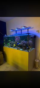 600L marine aquarium tank with stand