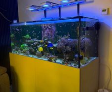 600L marine aquarium tank with stand