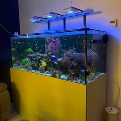 600L marine aquarium tank with stand