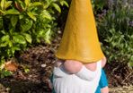 Garden Gnome
