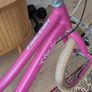 Raleigh Chic 20 inch Girls Bike 6 Speed Shimano Gears Image 2