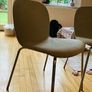 FREE: set of 4 chairs Image 2