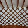 6 Metre Authentic hand Built Yurt - Glamping/Garden Room Image 6