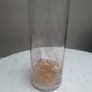 TALL Glass Gold embossed Vase Image 9