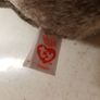 Dangle The Sloth TY Soft Plush Toy Image 2