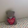 teddy bear Image 2