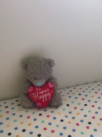 teddy bear