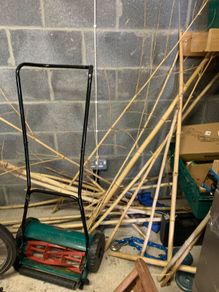 Untreated bamboo sticks