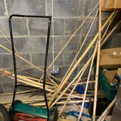 Untreated bamboo sticks