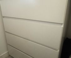 chest