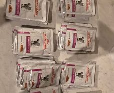 Cat Food (Royal Canin)