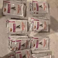 Cat Food (Royal Canin)