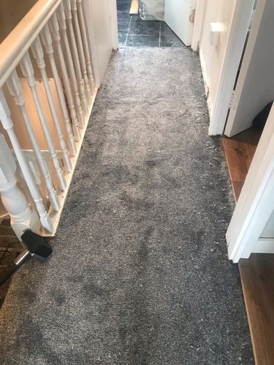 Carpet