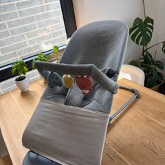 BabyBjorn bouncer with BabyBjorn toy bar