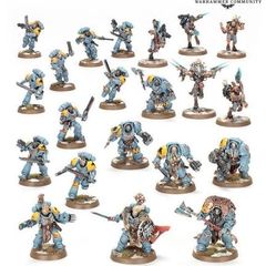space wolves combat patrol