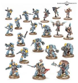 space wolves combat patrol