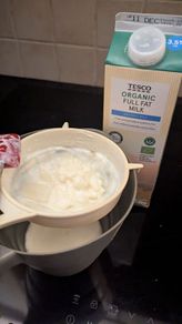 Organic Milk Kefir Grains 10g