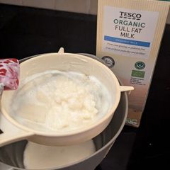 Organic Milk Kefir Grains 10g