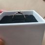 Ring,Triple Raw Blue Diamond Ring, Rose Gold Ring Image 9