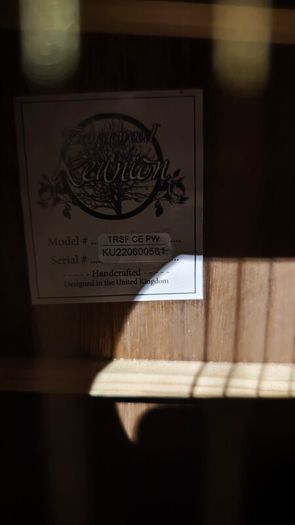 Tanglewood Reunion Electro-Acoustic Guitar (Pacific Walnut)