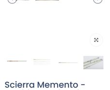 scierra rod and reel