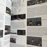 Resident Evil 4 Strategy Guide Image 4