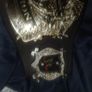 Wwe World Wrestling Entertainment Champion Belt Image 4