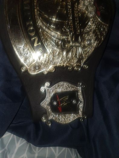 Wwe World Wrestling Entertainment Champion Belt
