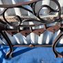 Pair of Cast iron bench ends Image 8