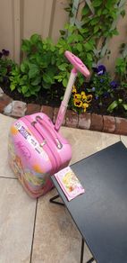 Travel Bag