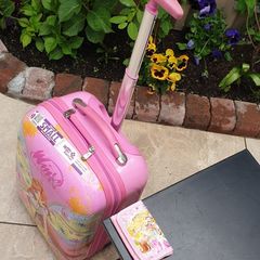 Travel Bag