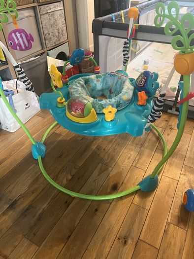 Baby Einstein Ocean Explorers Jumper